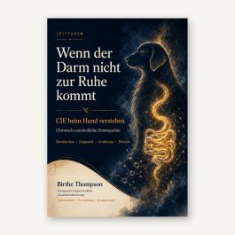 Titel_CIE_Leitfaden_Hauptbild